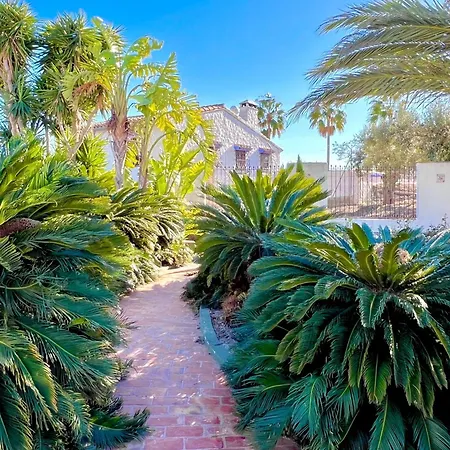 Caballeros - Adults Only Benissa